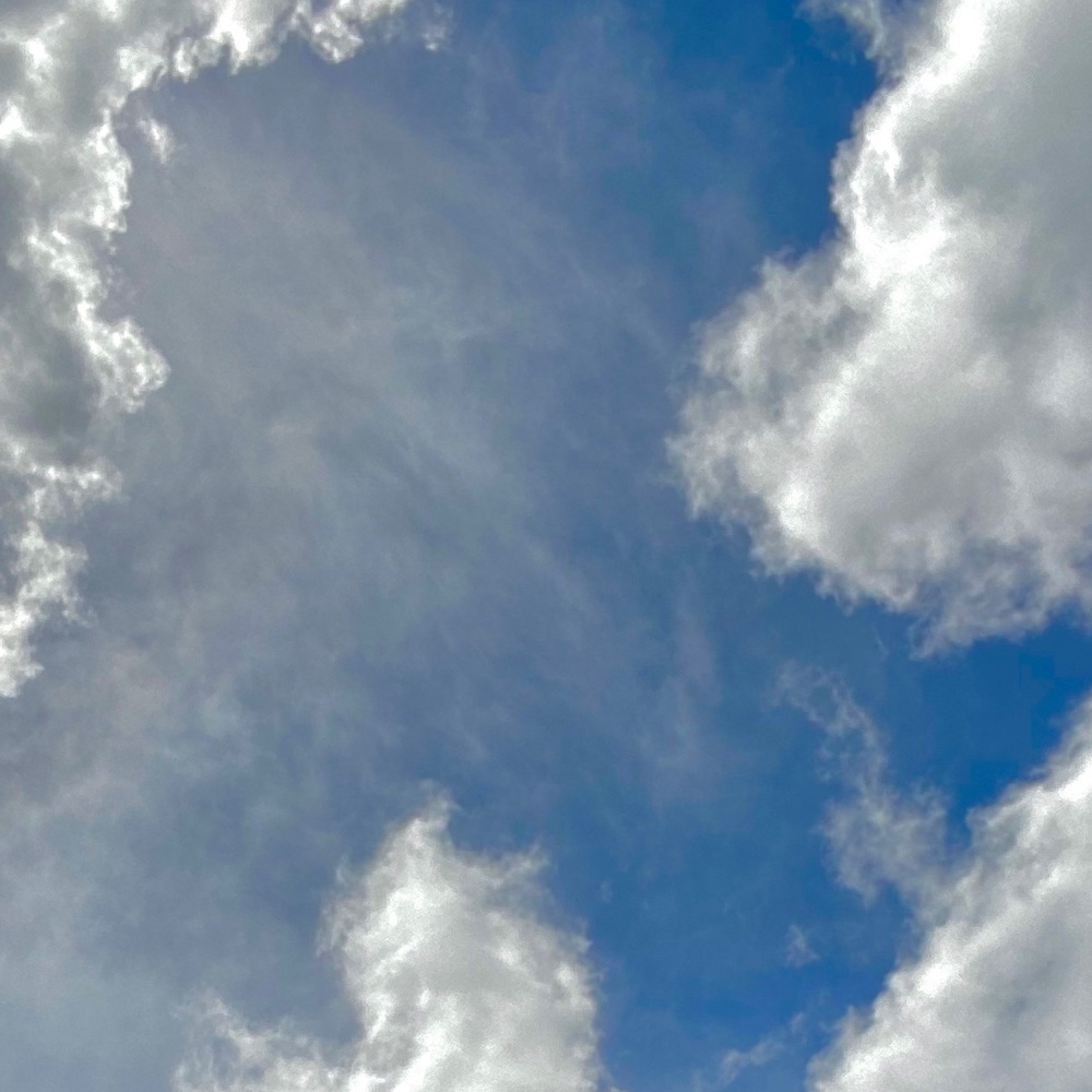 Meet your Posher, Amara